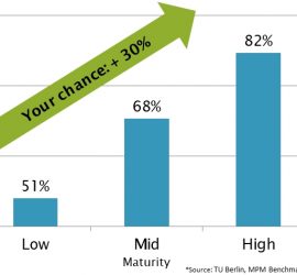 Maturity and Success of Projects